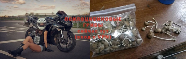 кокс Богородицк