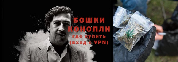 сатива Богданович