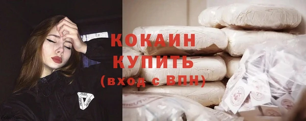 сатива Богданович