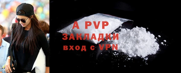 сатива Богданович