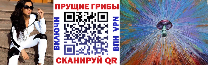 блэк спрут зеркало  Мосальск  Галлюциногенные грибы Cubensis 